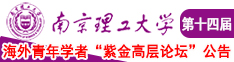 姜女草逼南京理工大学第十四届海外青年学者紫金论坛诚邀海内外英才！